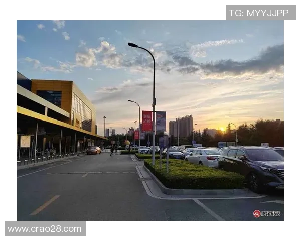 西安极限运动队包夹策略的成败分析与未来发展展望